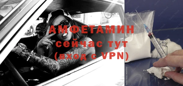ГАЛЛЮЦИНОГЕННЫЕ ГРИБЫ Осинники