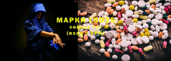 ГАЛЛЮЦИНОГЕННЫЕ ГРИБЫ Осинники