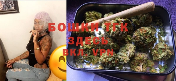 хмурый Арсеньев