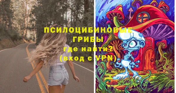 шишки Абинск