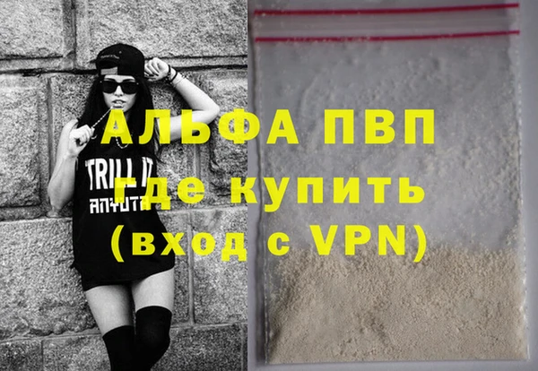 ГАЛЛЮЦИНОГЕННЫЕ ГРИБЫ Осинники