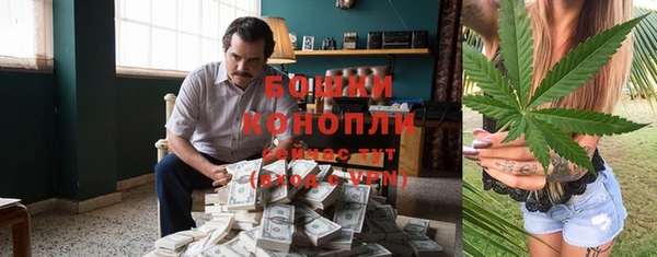 ГАЛЛЮЦИНОГЕННЫЕ ГРИБЫ Осинники