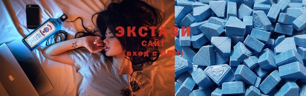 ГАЛЛЮЦИНОГЕННЫЕ ГРИБЫ Осинники