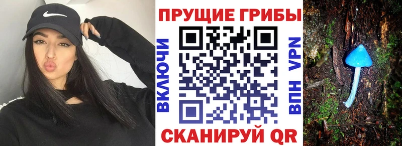 Галлюциногенные грибы мицелий  darknet формула  Каменск-Шахтинский 